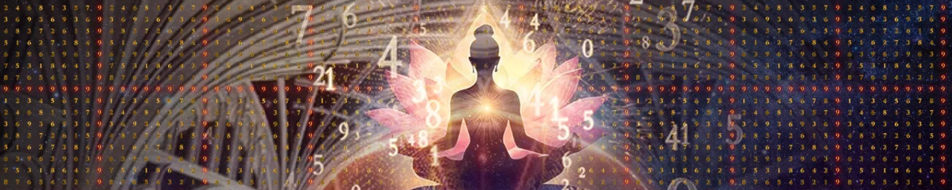 Willy M. Olsen – Investigación, publicaciones y documentales